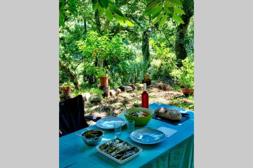 Quinta Biologica, Com Vista, Na Serra De Σίντρα Εξωτερικό φωτογραφία