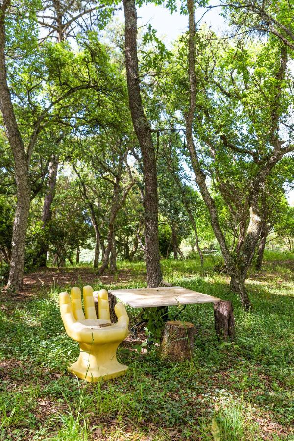 Quinta Biologica, Com Vista, Na Serra De Σίντρα Εξωτερικό φωτογραφία