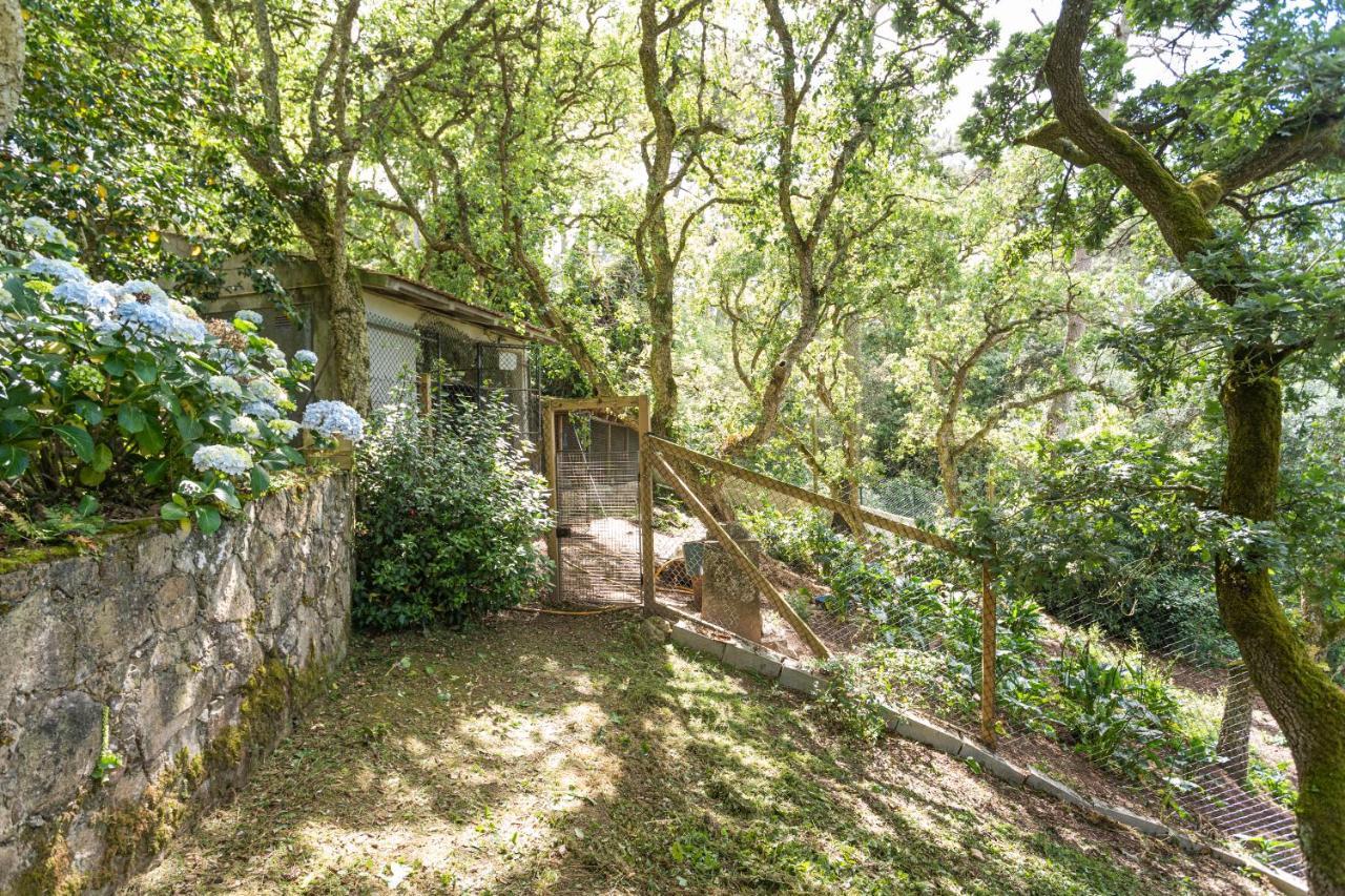 Quinta Biologica, Com Vista, Na Serra De Σίντρα Εξωτερικό φωτογραφία