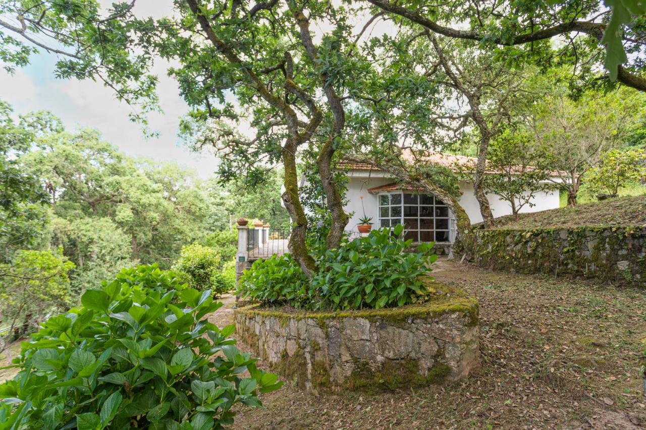 Quinta Biologica, Com Vista, Na Serra De Σίντρα Εξωτερικό φωτογραφία
