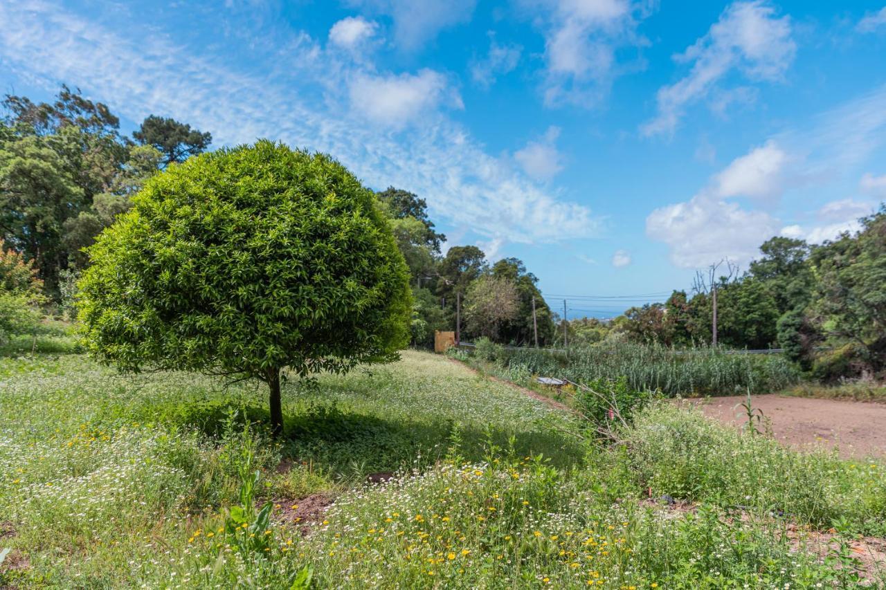 Quinta Biologica, Com Vista, Na Serra De Σίντρα Εξωτερικό φωτογραφία