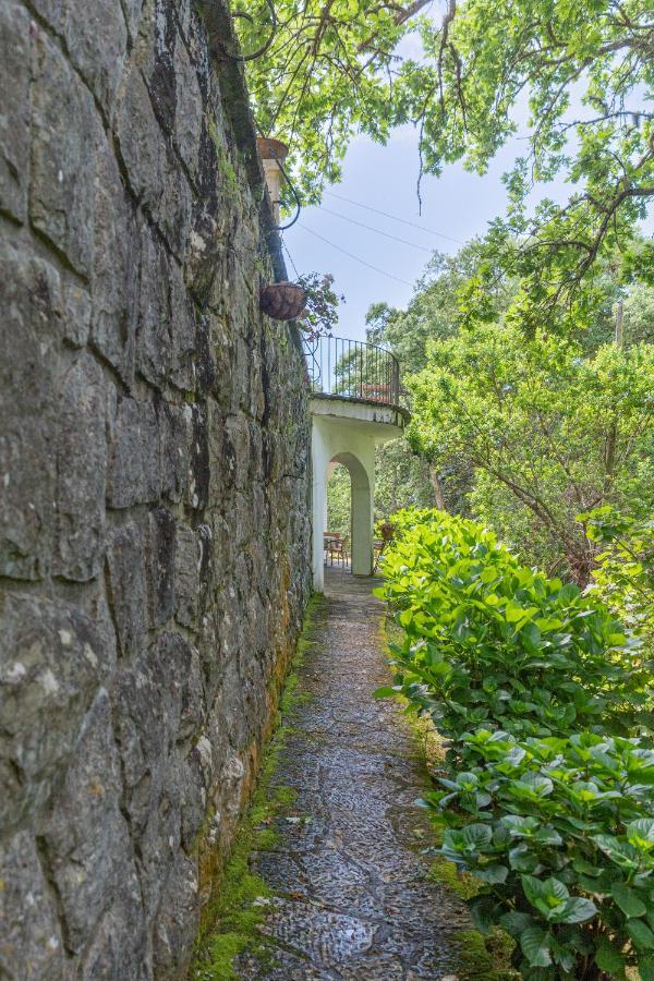 Quinta Biologica, Com Vista, Na Serra De Σίντρα Εξωτερικό φωτογραφία